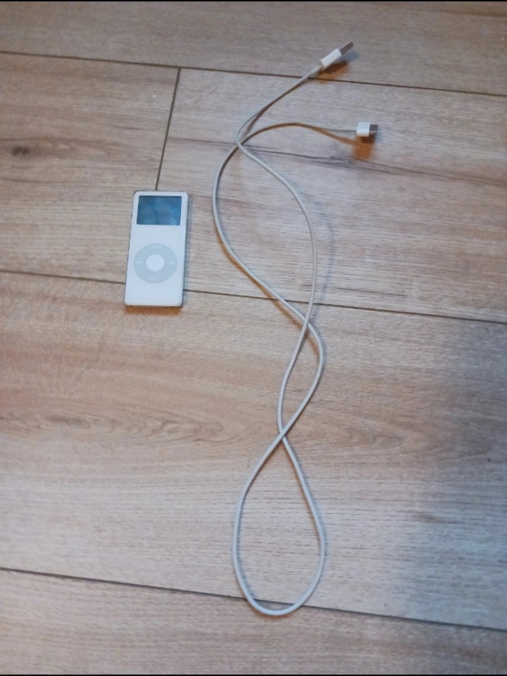 Ipod nano 1st gen, doesn't Work.